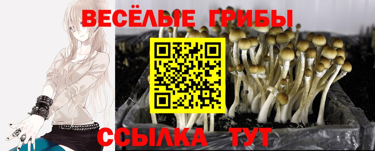 Галлюциногенные грибы Cubensis  Вход с VPN  Изобильный 
