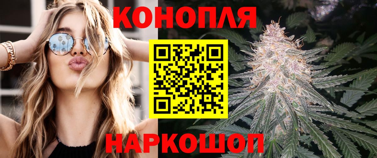 Канабис OG Kush Изобильный